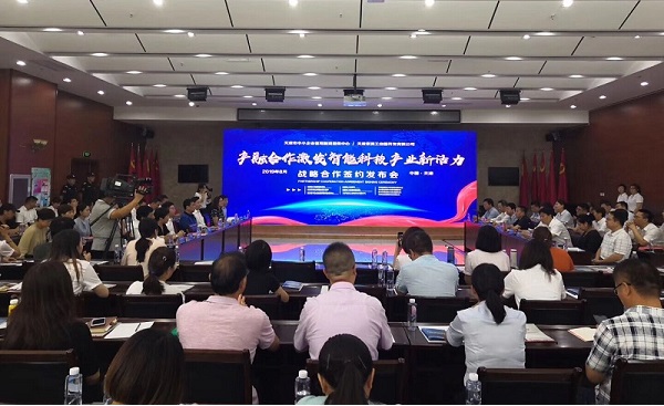 麻豆黄色视频在线观看科技喜获千万级担保授信